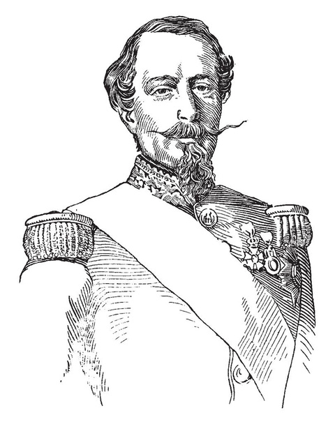 Napoleão III de França, 1808-1873, foi presidente da França de 1848 a 1852 e imperador dos franceses de 1852 a 1870, desenho de linha vintage ou ilustração gravura
 - Vetor, Imagem