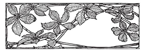 Leaf design is a Rectangular design pattern, vintage line drawing or engraving illustration. - Vector, Image