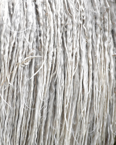 сіра альпака тварина фліс немита і вузька з дрібними шматочками трави, повнокадрове зображення фон для реклами копіювання простору
  - Фото, зображення