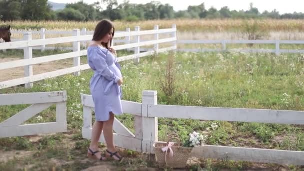 Krásná těhotná žena v modrých šatech chůzi slyšet na farmě. Pletená kabelka s kytici květin. Na pozadí hory a strom. Zpomalený pohyb - Záběry, video