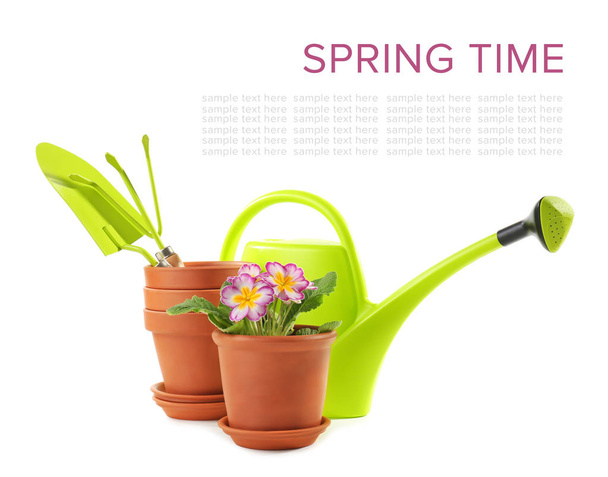 Flowerpots with plant and gardening equipment on white background - Photo, Image