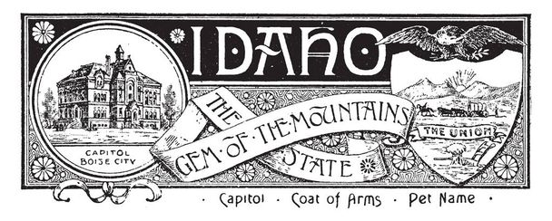 Idaho, dağ taş devlet bayrağı devlet, bu durumu var ev ve Capitol Boise Şehir sağ tarafta kalkan şekli ile at binicisi ve bullock at arabası, en iyi uçan kartal, vintage satır çizim veya illüstrasyon oyma - Vektör, Görsel
