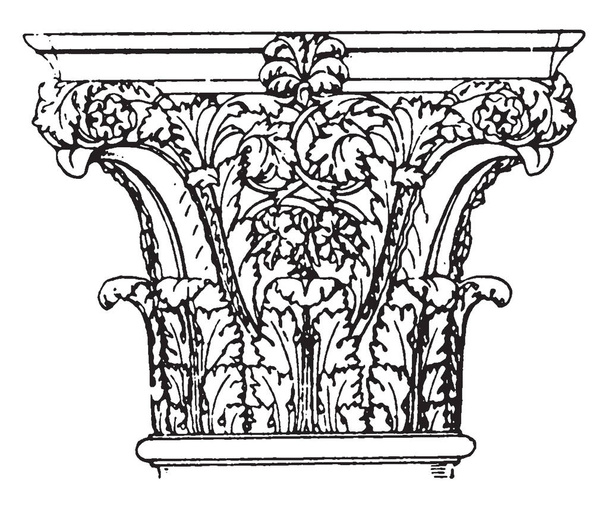 Roman Corinthian Capital,  found in the palaces of the emperors in Rome, a design of spiral curves,  the rows of leaves and unite in pairs, vintage line drawing or engraving illustration. - Vektor, Bild