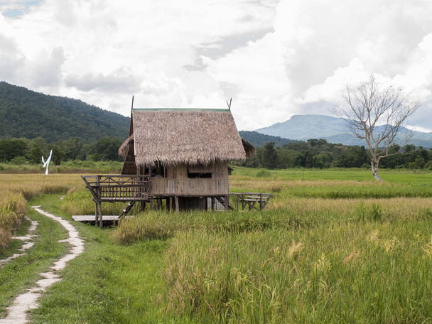 manzara fotoğrafçılığı: manzara pirinç çiftçiler Asya ve yaşam alanları - Fotoğraf, Görsel