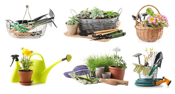 Set of gardening equipment with plants on white background - Photo, Image