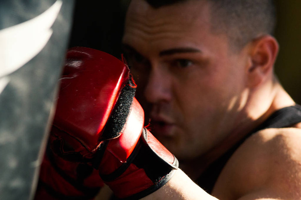 Muscular culturista poner en guantes de entrenamiento vencer a un saco de boxeo
 - Foto, Imagen