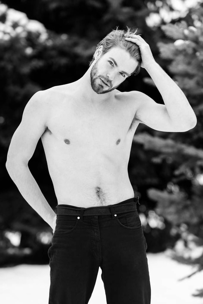 handsome bearded man or sexy guy with muscular body, chest and torso in winter outdoor at green fir tree with snow on natural background. - 写真・画像