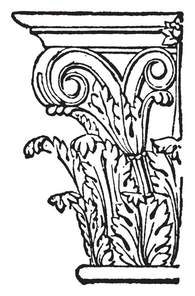 Volute of the Corinthian Capital, combells, Corinthian, helices, helle, Ionic, kind, spiral scroll, vintage line drawing or environing illustration
. - Вектор,изображение