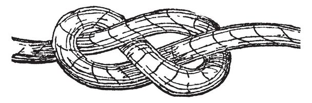Düğüm konu halatlar veya bağlama veya hangi ayrılık direnir entangling veya gevşeme, vintage çizgi çizme veya illüstrasyon oyma tarafından kurulan ipler bir komplikasyondur. - Vektör, Görsel