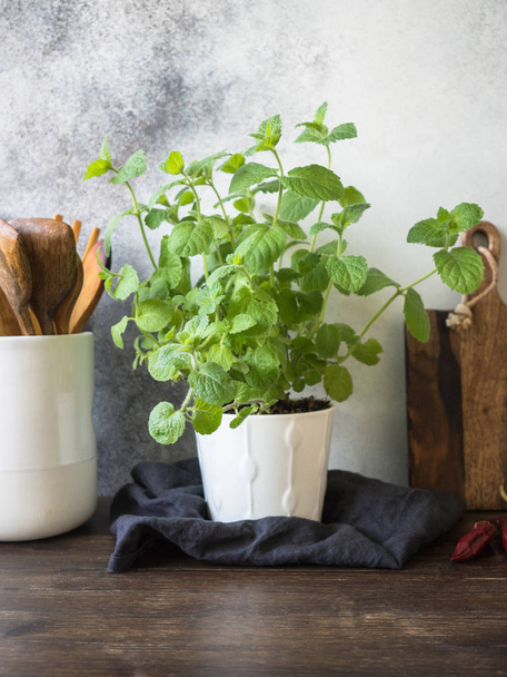Un cespuglio di menta verde fresca in una pentola bianca, vaso di ceramica con cucchiai di legno e tagliere sul tavolo della cucina
 - Foto, immagini