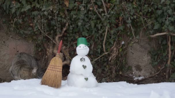 tabby cat and a snowman - Footage, Video
