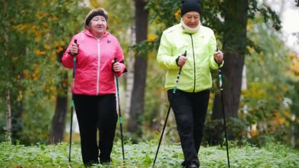 Stare kobiety chodzenia w jesienny park podczas skandynawski spacer - Materiał filmowy, wideo