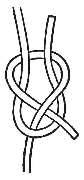 Sheet Bend es una curva que es un nudo que une dos cuerdas, dibujo de línea vintage o ilustración de grabado
. - Vector, Imagen