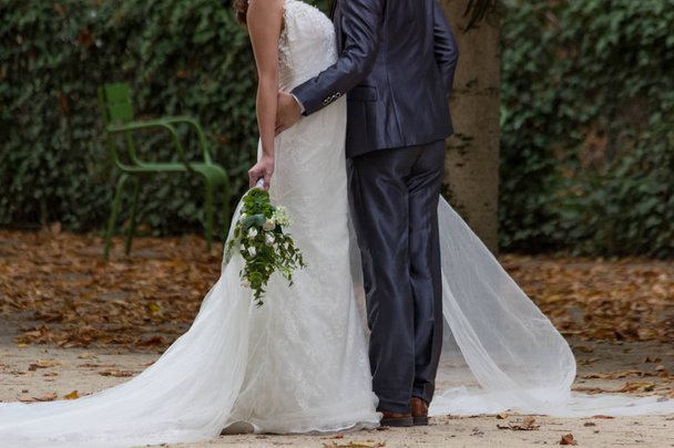 Wedding couple in Tuileries Garden, Paris, Autumn, 2018 - Photo, image
