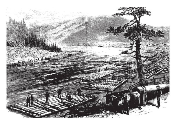 Река Саскуэханна - крупная река, расположенная на северо-востоке США, рисунок винтажной линии или гравировка
. - Вектор,изображение