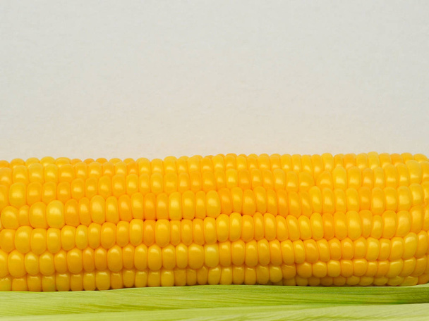 Corn cob with yellow ripe raw grains lies on the light green corn leaves on a neutral background copy space - Foto, Bild