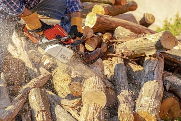 Scies à bois arbre avec tronçonneuse sur scierie. Scie à chaîne en action coupe du bois. Homme coupant le bois avec scie, poussière et
 - Photo, image