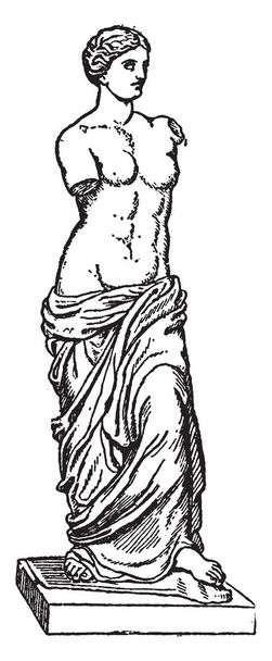 На этом изображении - древнегреческая статуя и одно из самых известных произведений древнегреческой скульптуры, рисунок винтажной линии или гравировка.
. - Вектор,изображение
