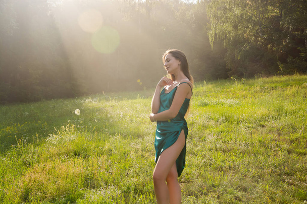 Joven hermosa mujer disfruta de la luz del sol en un prado de flores cerca del bosque al atardecer
 - Foto, Imagen