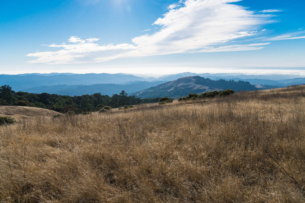 Fog and clouds rolling in over the hills of Russian Ridge in the Bay Area - Photo, Image