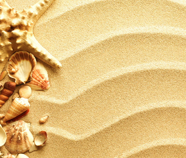 sea shells and old compass with sand - Photo, image