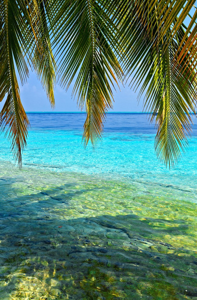 tropische zeegezicht - Foto, afbeelding