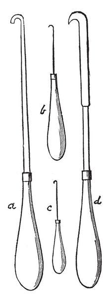  Hooks which used in the Process of Egg Blowing for the Purpose of Extracting Embryos, vintage line drawing or engraving illustration. - Vector, Image