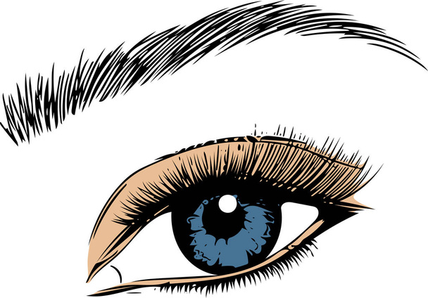 Gözler beyaz arkaplanda. Göz sanatı. Kadın gözü. Göz logosu. Göz sanatı. İnsan gözü.. - Vektör, Görsel