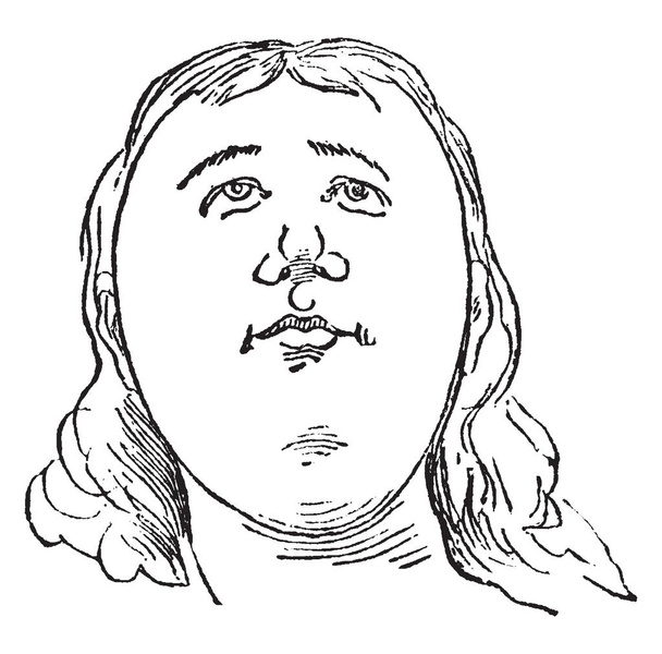Face turned up in this picture, vintage line drawing or engraving illustration. - Vector, Image