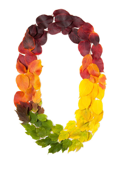 Number zero made with autumn leaves isolated on white. - 写真・画像