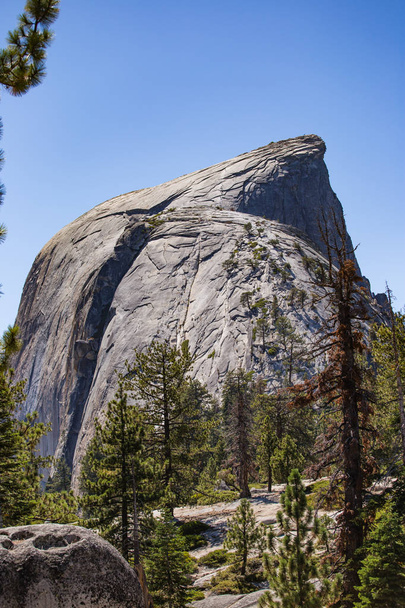 Yosemite εθνικό πάρκο μονοπάτια - Φωτογραφία, εικόνα