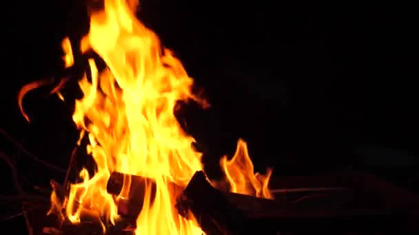 grote oranje vuur brandt op Logboeken in de grill's nachts, close-up, slow-motion - Video