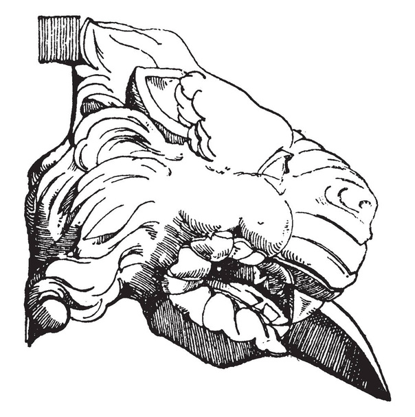 Gargoyle tête de lion est faite de terre cuite, l'eau de pluie sort généralement, bouche ouverte, dessin de ligne vintage ou illustration de gravure
. - Vecteur, image