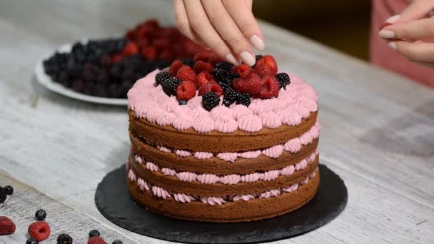 Випічка шеф-кухаря прикрашає шоколадний торт ягодами
. - Кадри, відео