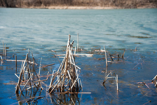 Im Frühjahr, wenn es noch Eis und Schnee gibt, fließt der Fluss ruhig durch den Wald. Frühlingslandschaft - Foto, Bild