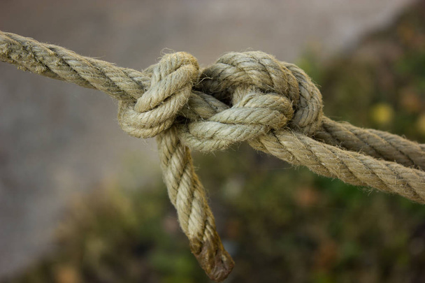 білі морські вузли мотузка
 - Фото, зображення