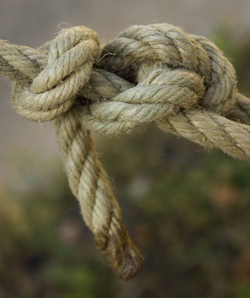 білі морські вузли мотузка
 - Фото, зображення