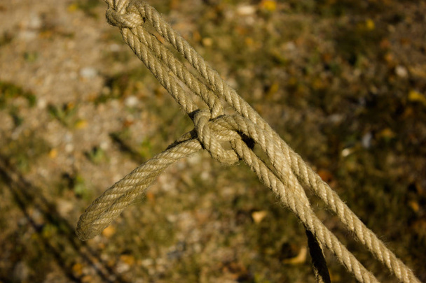 Верёвка из белого моря
 - Фото, изображение