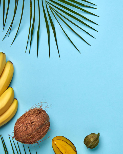 Зрізати різні екзотичні фрукти, банан, кокосовий карамель гагаліс з пальмовим листом на синьому фоні з місцем для тексту. Плоский прошарок
 - Фото, зображення