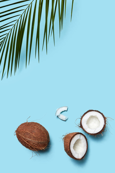 Pieces and whole coconut with palm green leaf on a blue background copy space for text. Food composition. Flat lay - Zdjęcie, obraz