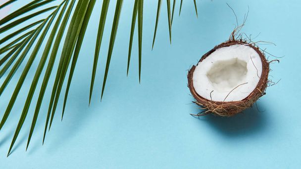 A green palm leaf half of a coconut tropical nut on a blue background with copy space. Organic product for use in cosmetology. Top view - Foto, immagini