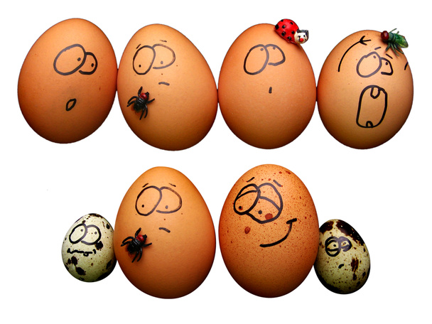 Eieren - Foto, afbeelding