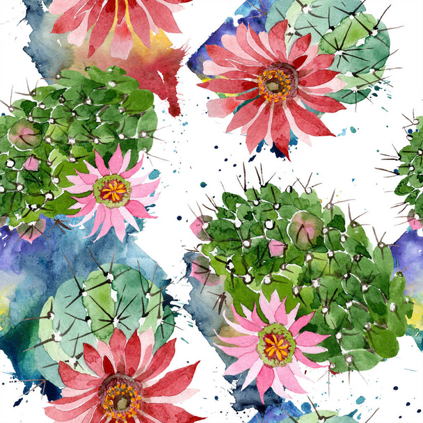 Akvarelu zelený kaktus s růžovou květinou. Květinové botanické květin. Vzor bezešvé pozadí. Fabric tapety tisku texturu. Aquarelle wildflower pro pozadí, textura, wrapper vzorem. - Fotografie, Obrázek