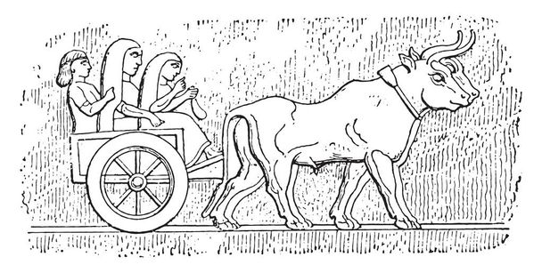 Асирійський кошик, vintage вигравірувані ілюстрація - Вектор, зображення