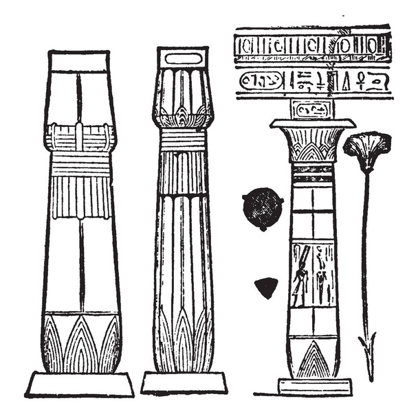 Egypt, Types of Columns, Ancient Egypt, chief architectural element,  plants stems, vintage line drawing or engraving illustration. - Vettoriali, immagini