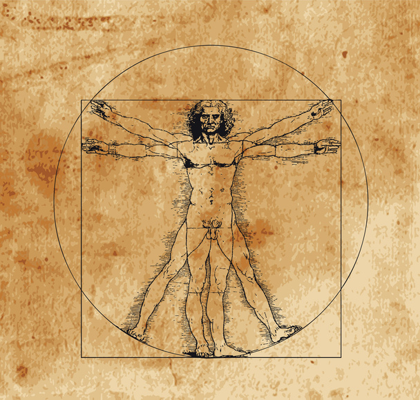 Vitruvian Man - Vektor, obrázek