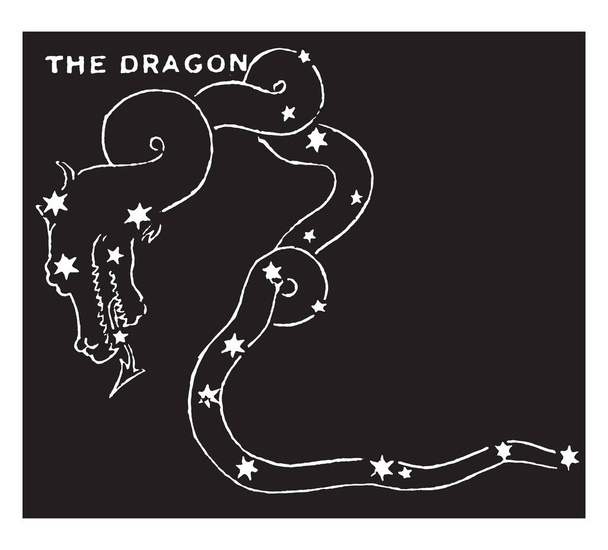 An image that shows stars groupings of the Dragon, vintage line drawing or engraving illustration. - Vecteur, image