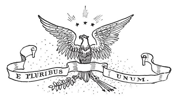 Motto Stany Zjednoczone przed 1956, pieczęć ma szerokie skrzydła Orła z motto E Pluribus Unum, i trzymając gałąź drzewa i strzałki, 3-gwiazdkowe na górze Eagle, vintage rysowania linii lub Grawerowanie ilustracja - Wektor, obraz