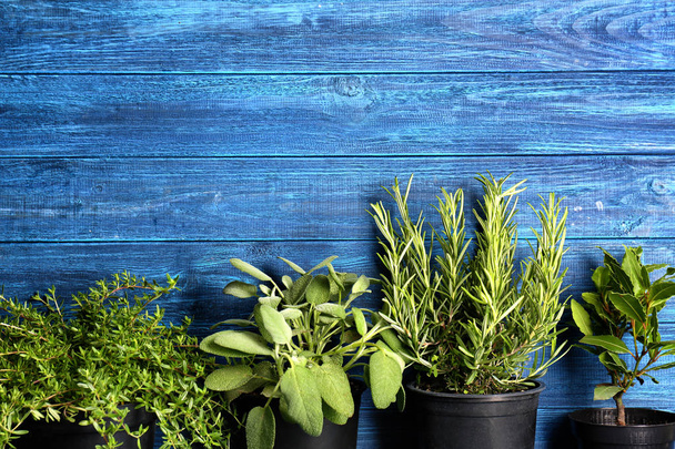Panelas com ervas aromáticas frescas sobre fundo de madeira cor
 - Foto, Imagem