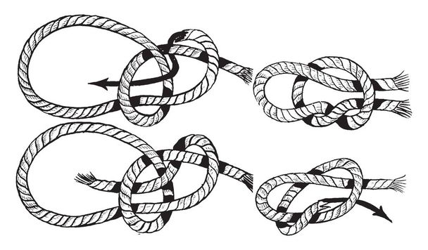 Vitorlafeszítő kötél csomóját, mely 4 egyszerű lépésben árukapcsolás a vitorlafeszítő kötél, vintage vonalas rajz vagy metszet illusztráció. - Vektor, kép